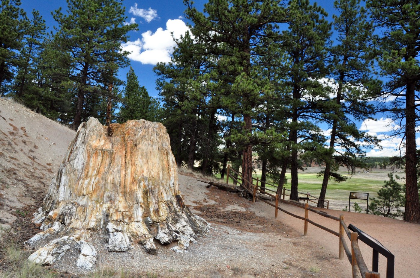 Florissant Fossil Beds National Monument
